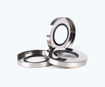 Stainless Steel Ring Seals PTFE Lip Oil Seal Cylinder Oil Seal